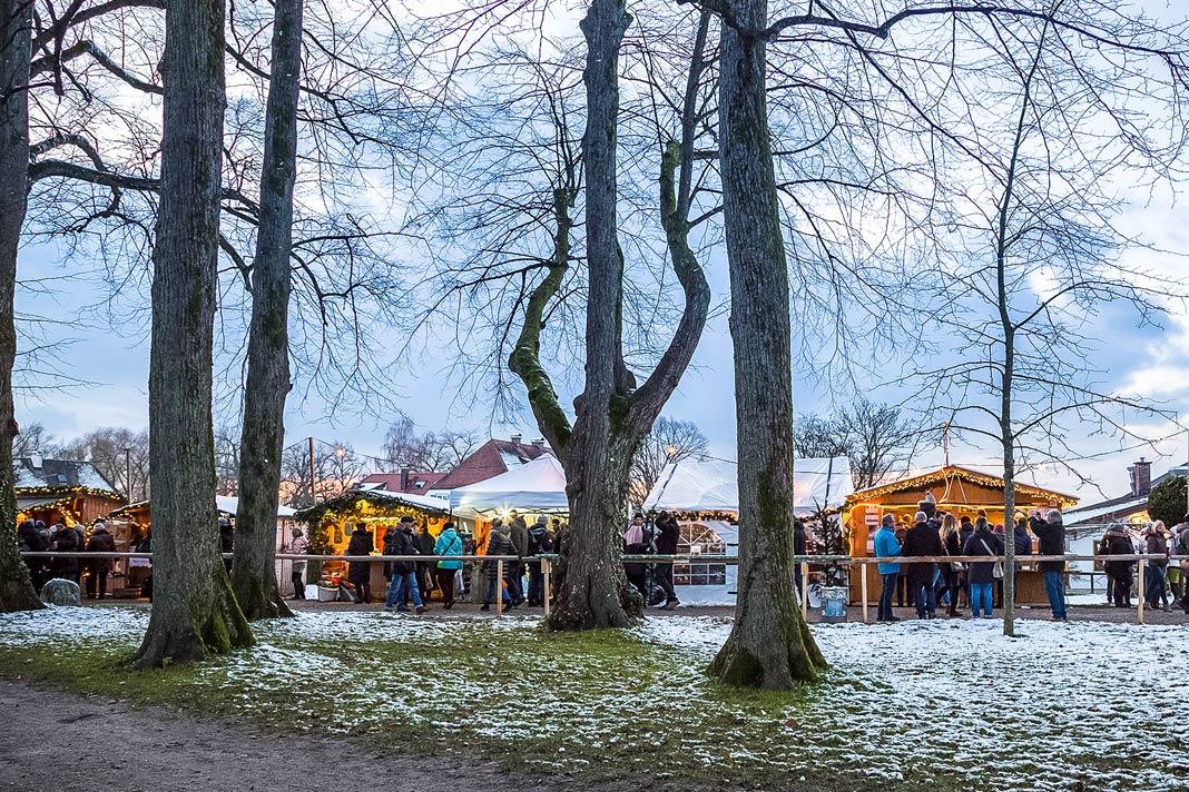 Vista através das árvores do mercado de Natal na Ilha das Mulheres no Chiemsee na Alta Baviera