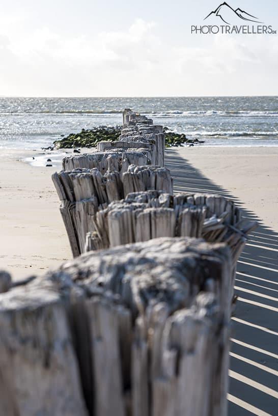 Pieux en bois sur la plage de Hollum à Ameland