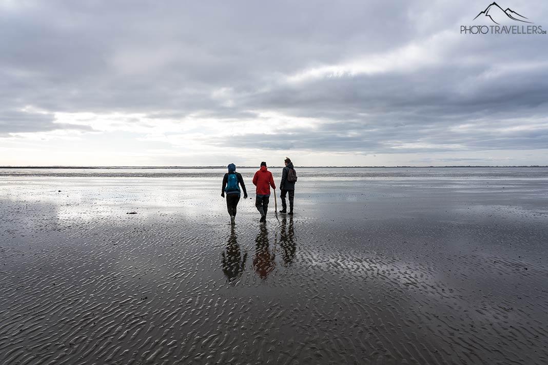 Trois randonneurs dans les marais à Ameland