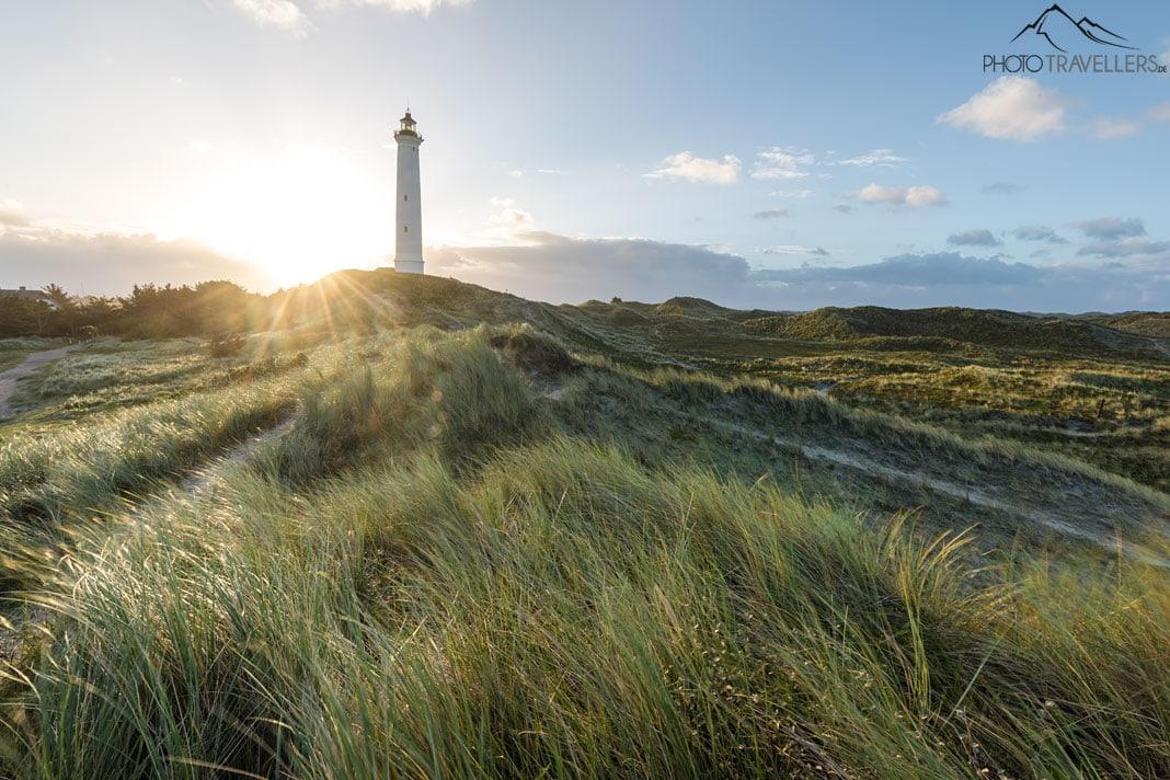 Le phare Lyngvig Fyr à la lumière du lever de soleil, avec des dunes de sable verdoyantes au premier plan