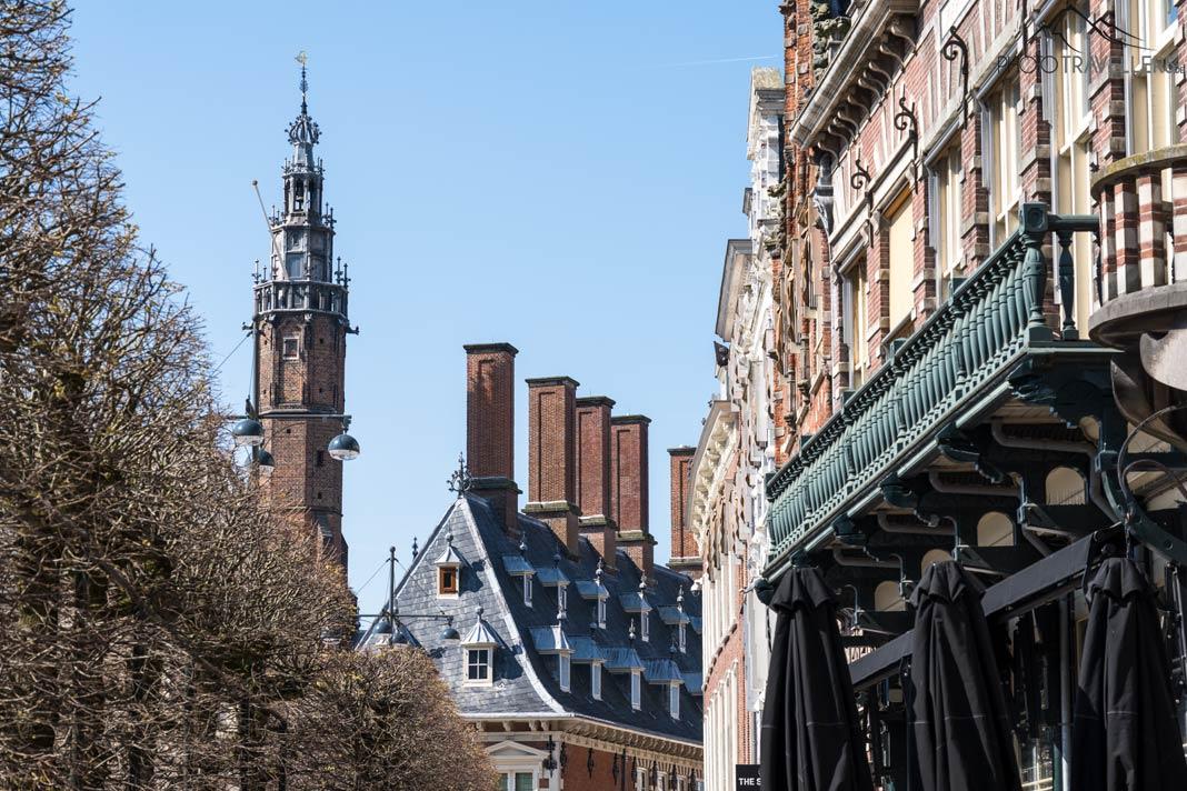 La vue de l'ancien hôtel de ville à Haarlem