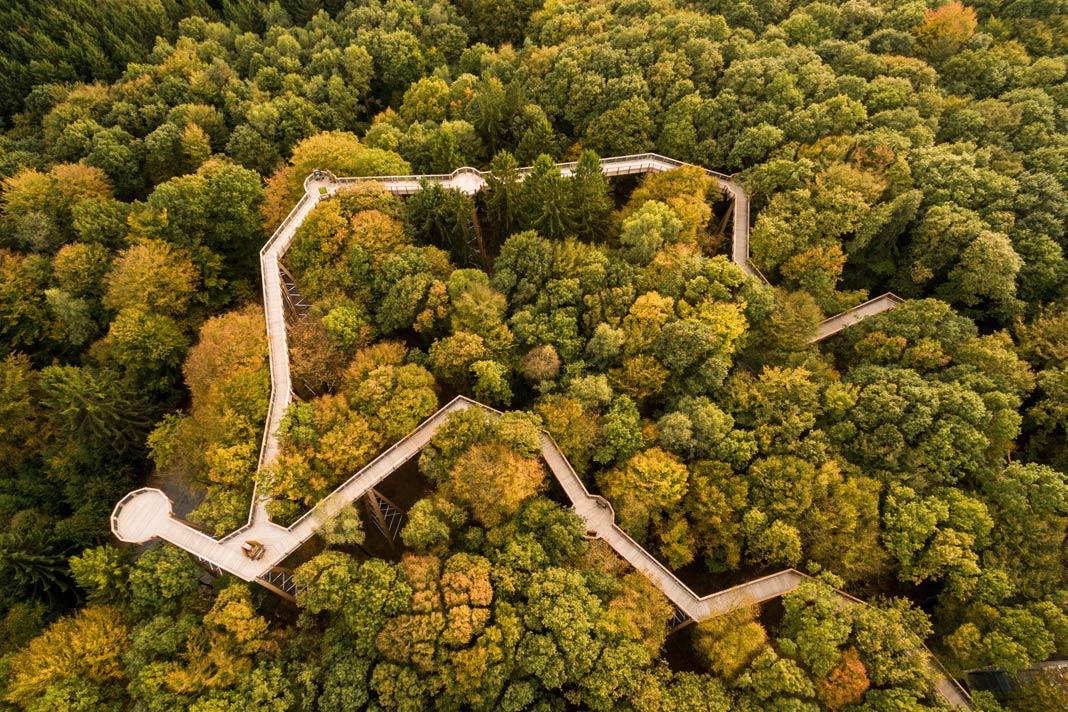 Le sentier des cimes d'arbres de Panarbora vu du ciel