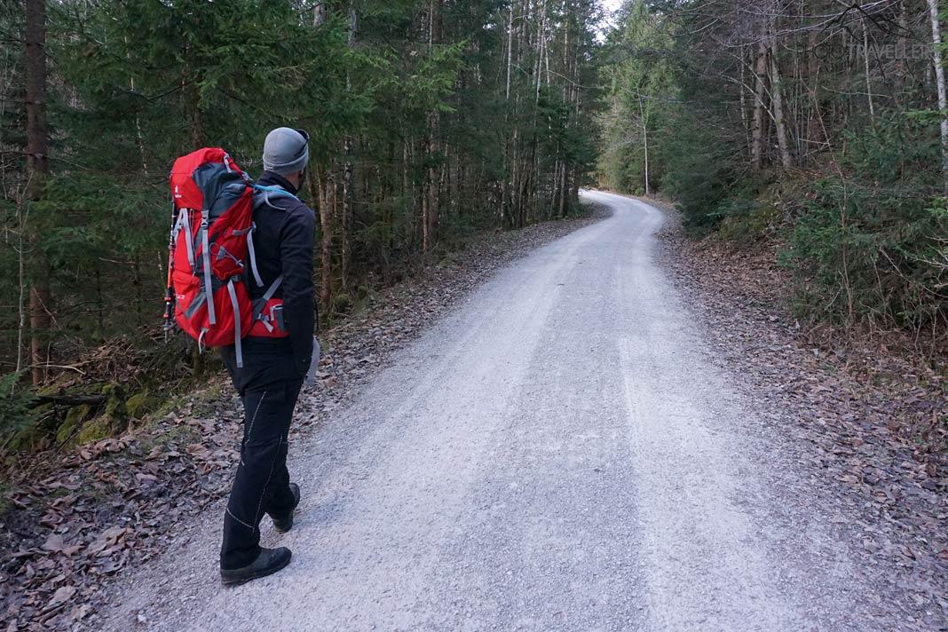 Mon collègue de randonnée Maik sur le large chemin forestier menant au Frieder