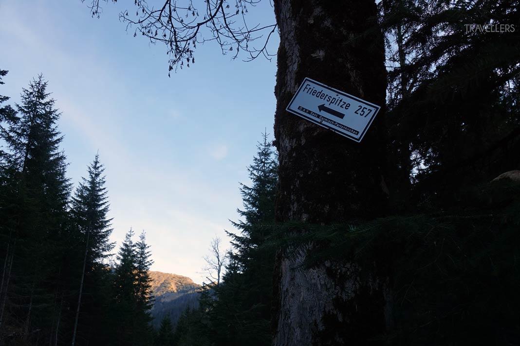 Un panneau directionnel sur un arbre vers la Friederspitze