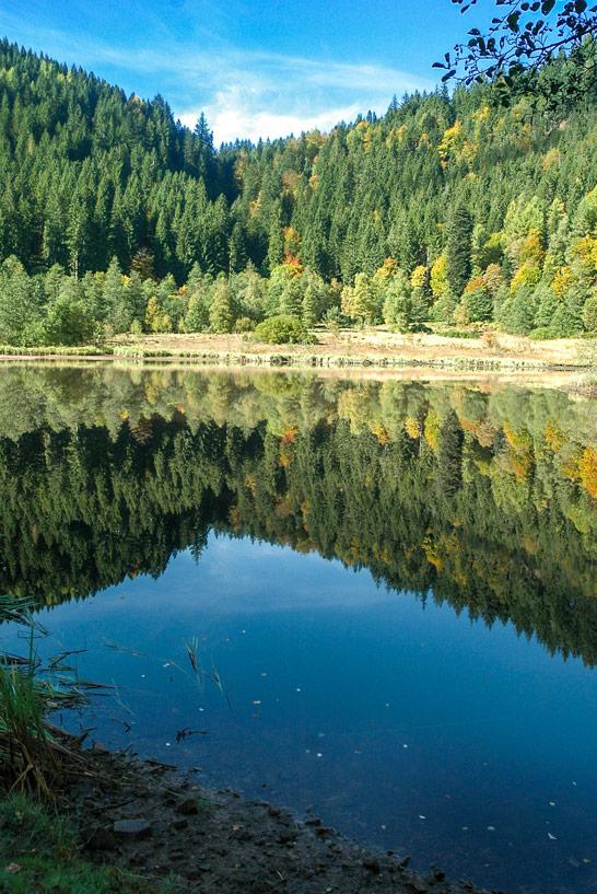 El hermoso Lago Sankenbach merece la pena la caminata