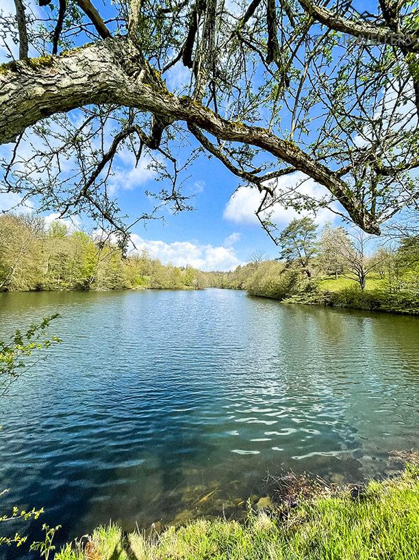 El Lago Bär en Stuttgart
