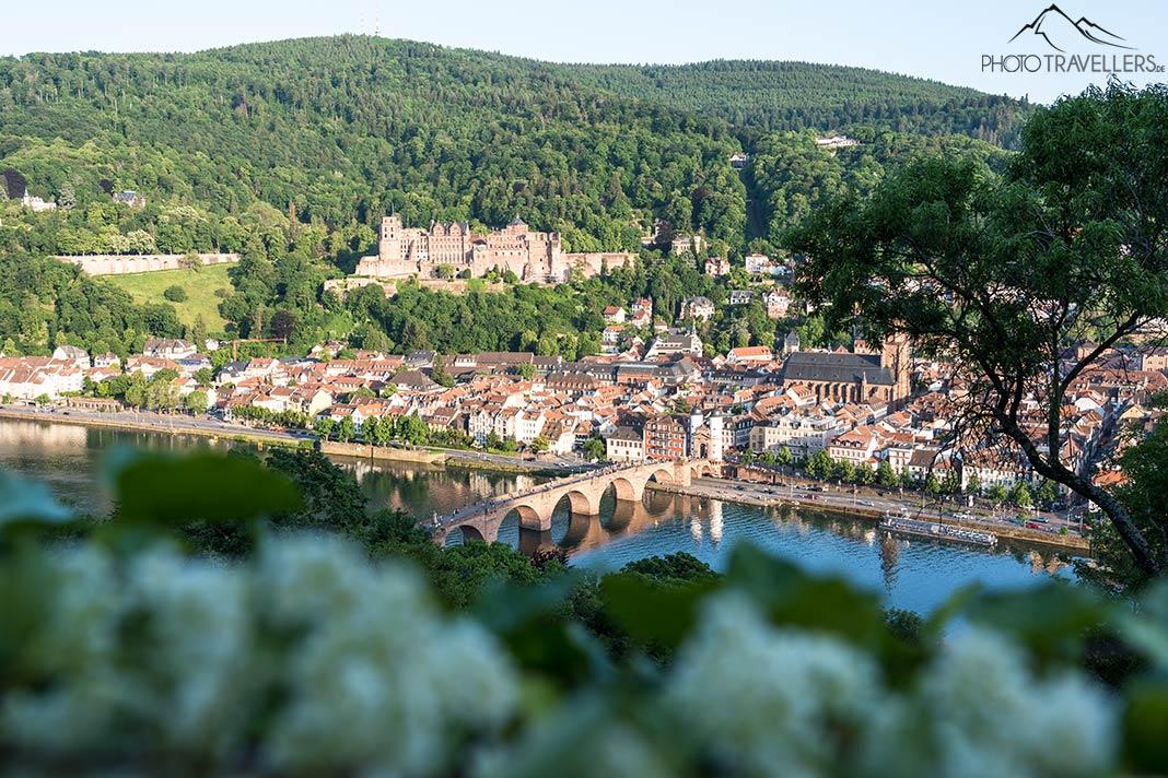 La vue depuis le Chemin des Philosophes sur Heidelberg avec le Château de Heidelberg