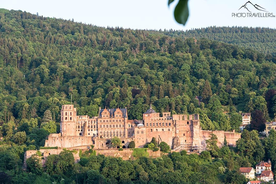 Le Château de Heidelberg