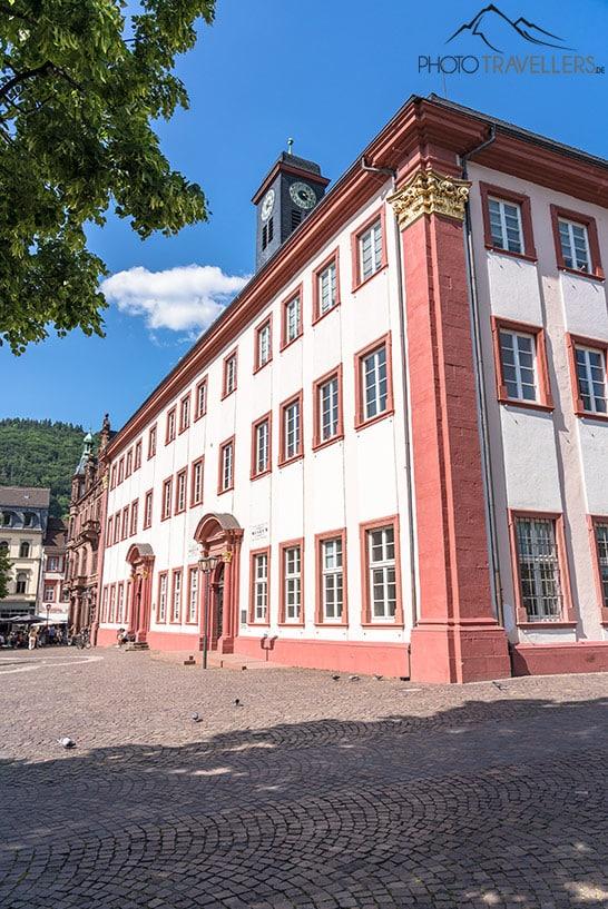 Le Musée universitaire de Heidelberg