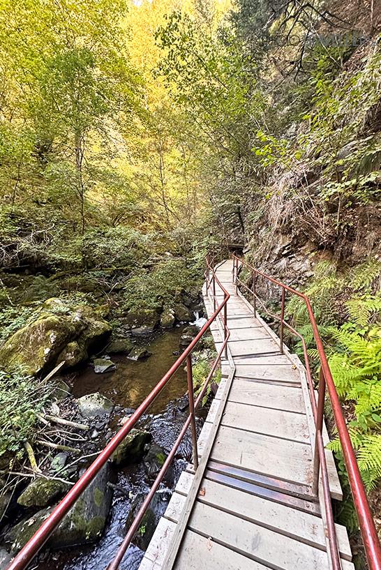 Un camino en la Garganta de Ravenna en la Selva Negra