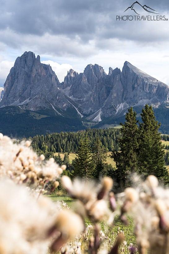 La vista sobre Langkofel y Plattkofel