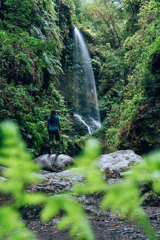 La bloguera de viajes Biggi Bauer en la selva delante de la cascada Tilos en La Palma
