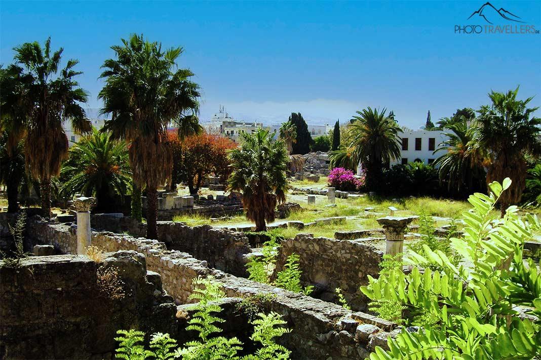 Entre palmiers et plantes s'étendent les ruines de l'ancienne Agora.