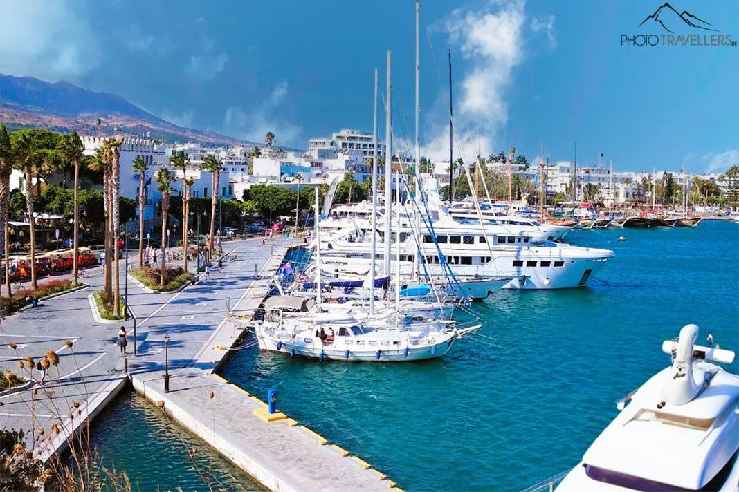 Des bateaux blancs sont au mouillage sur la promenade bordée de palmiers du port de Mandraki