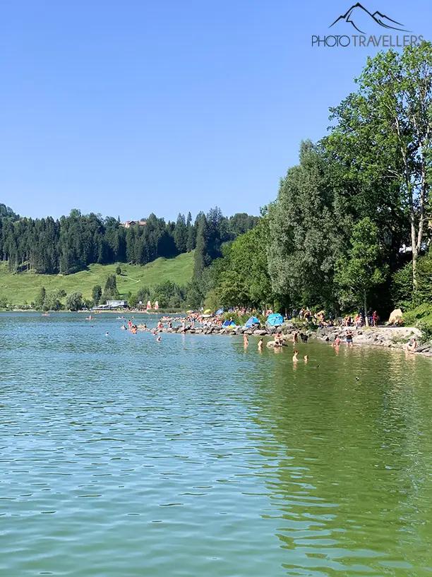 Baignade au Großer Alpsee