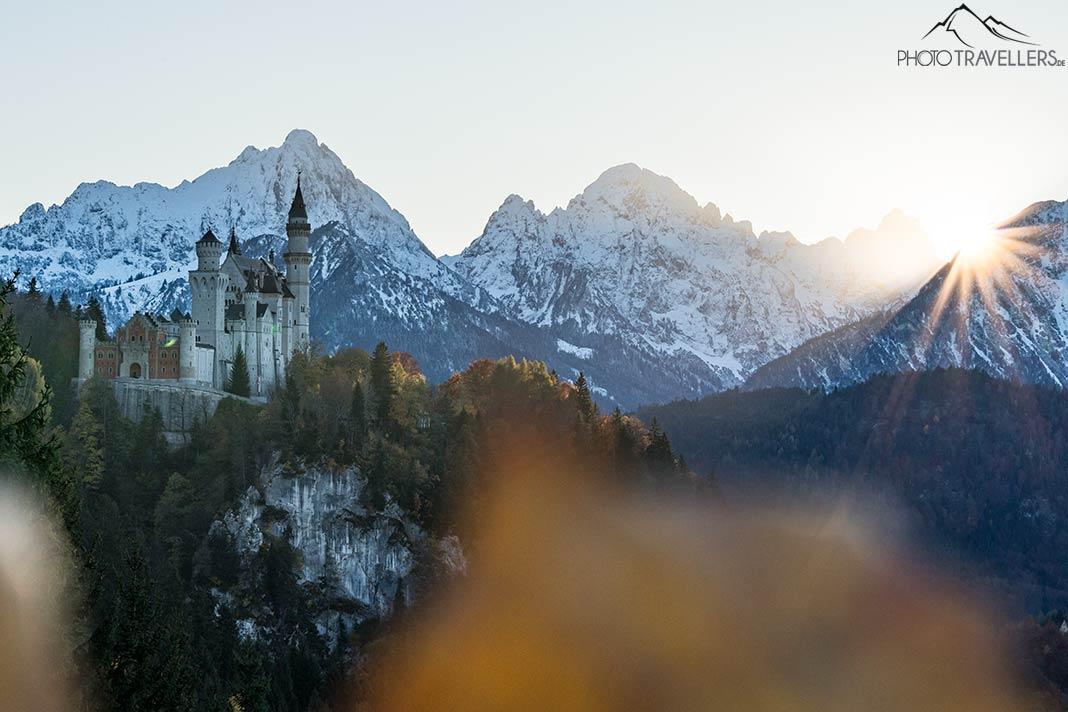 Vue du château de Neuschwanstein avec les Alpes en arrière-plan