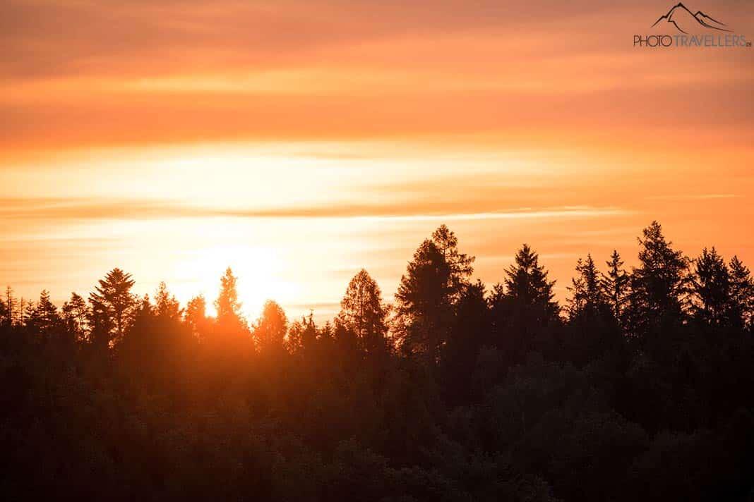 Lever de soleil dans la forêt franconienne