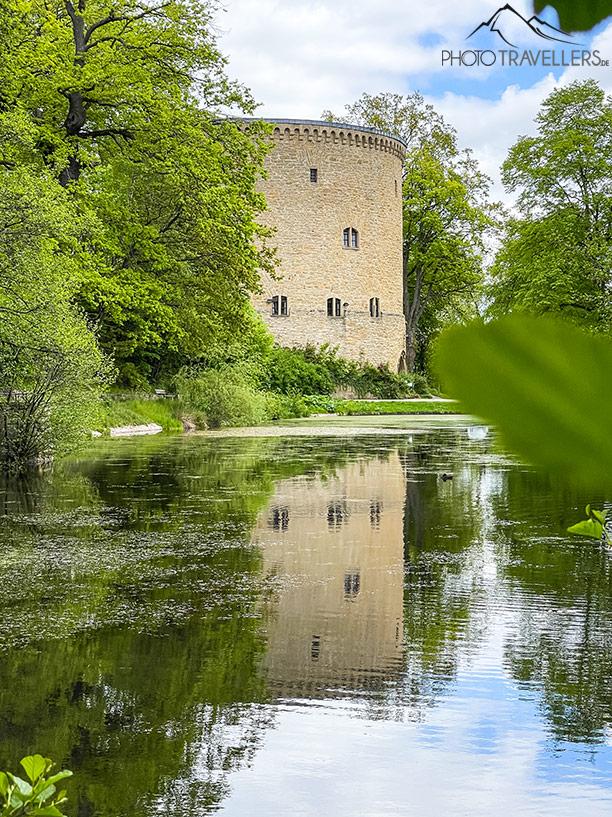 El Zwinger se refleja en el Kahnteich