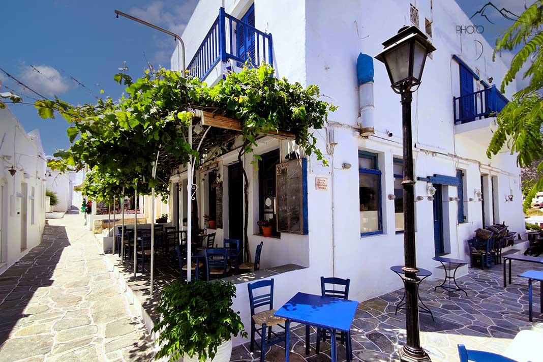 Sillas y mesas azules están bajo un toldo cubierto de vides en Patmos