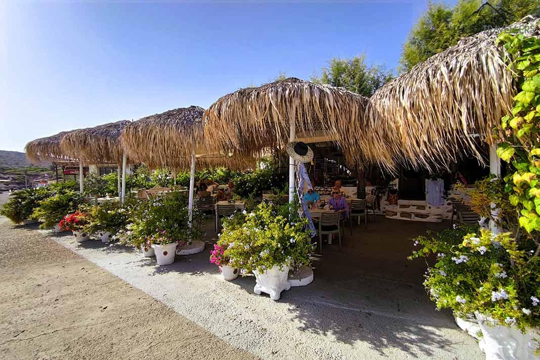 Los invitados se sientan en las mesas de una taberna de playa cubierta de cañas