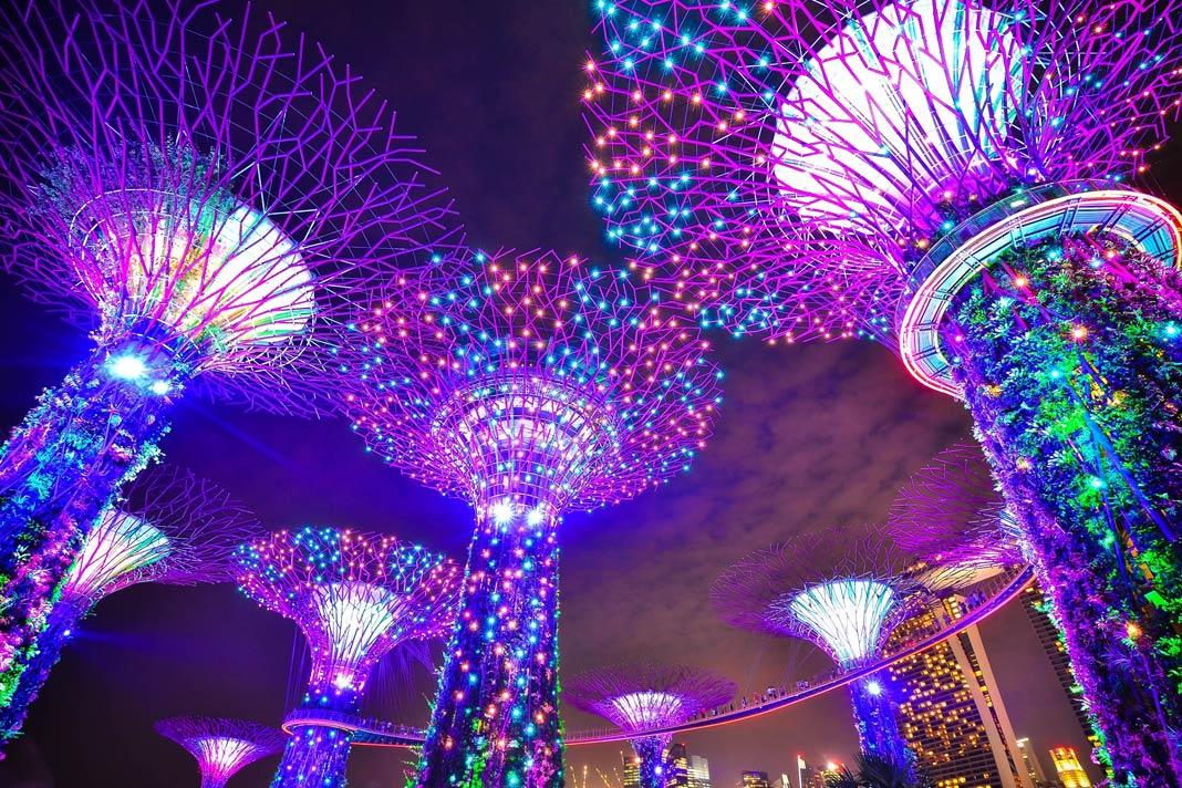 As Supertrees nos Gardens by the Bay