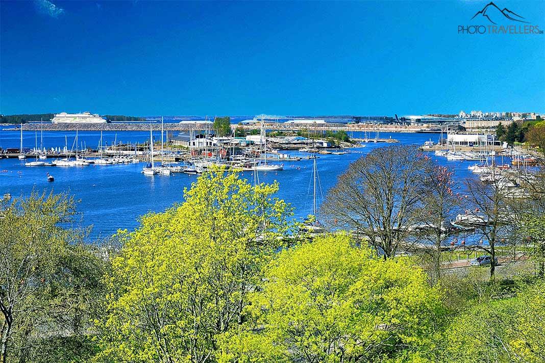 Derrière les arbres verts, la mer bleue des jardins d'îles d'Helsinki est visible.