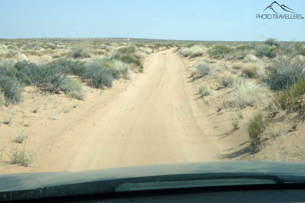 Une piste sablonneuse menant vers le Alstrom Point