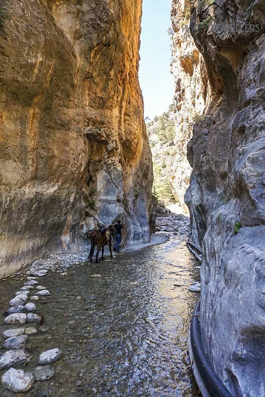 Un garde dans la gorge de Samaria accompagnant un âne à travers les "Portes de fer"