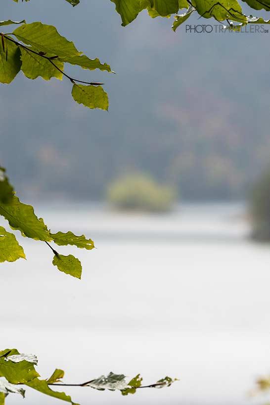Uma foto do Eibsee, onde o foco está nas folhas em primeiro plano. O fundo, portanto, está desfocado