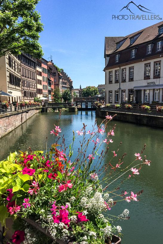 Canal à Strasbourg avec de vieilles maisons et des fleurs au premier plan