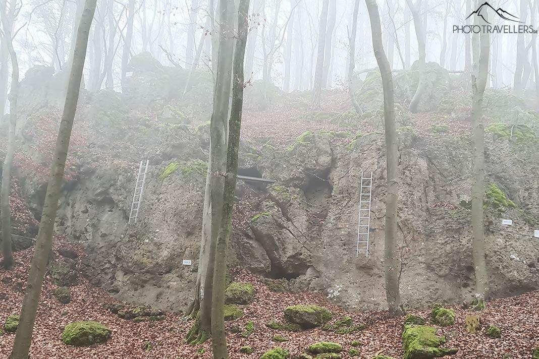 Échelles sur le Höhenglücksteig dans la Suisse Franconienne