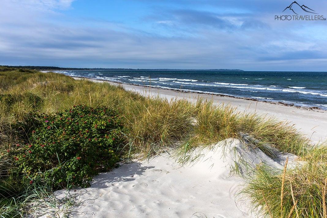 Les dunes blanches des plantations de sable à Rørvig
