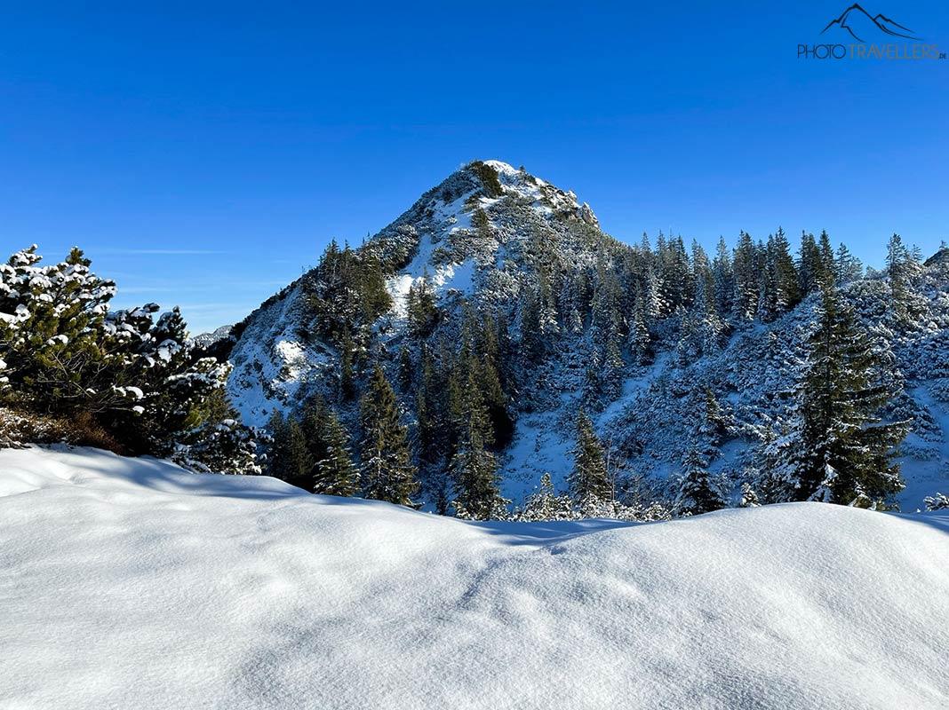 Vue sur le sommet du Schildenstein