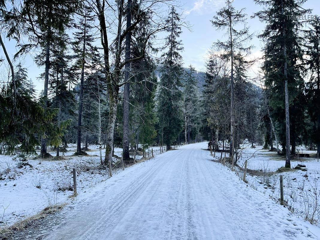 Route enneigée en forêt de montagne