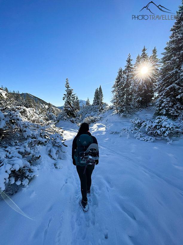 Biggi sur le sentier enneigé menant au Schildenstein