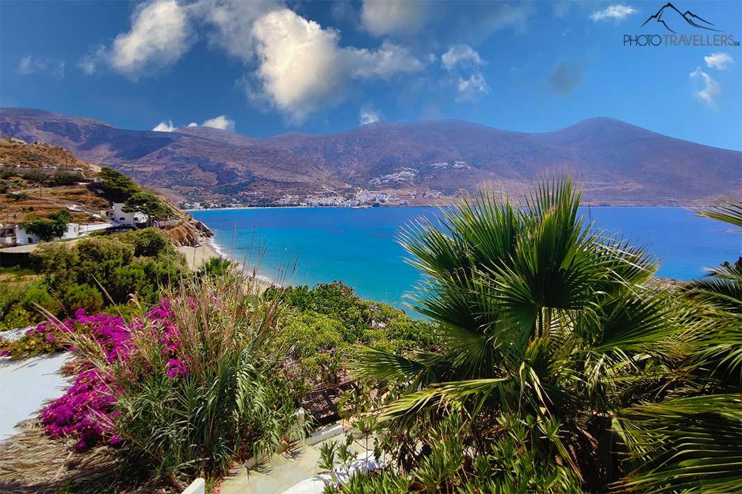 Des palmiers et des plantes luxuriantes bordent la baie d'Aegiali entourée de montagnes