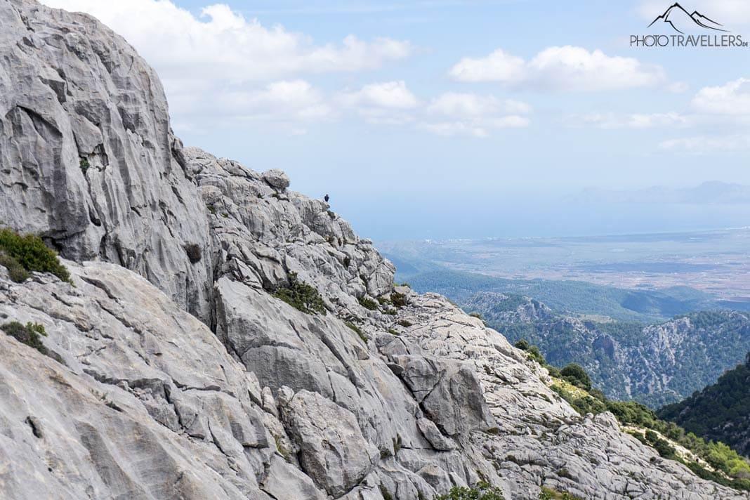 Un vautour posé sur un rocher au loin