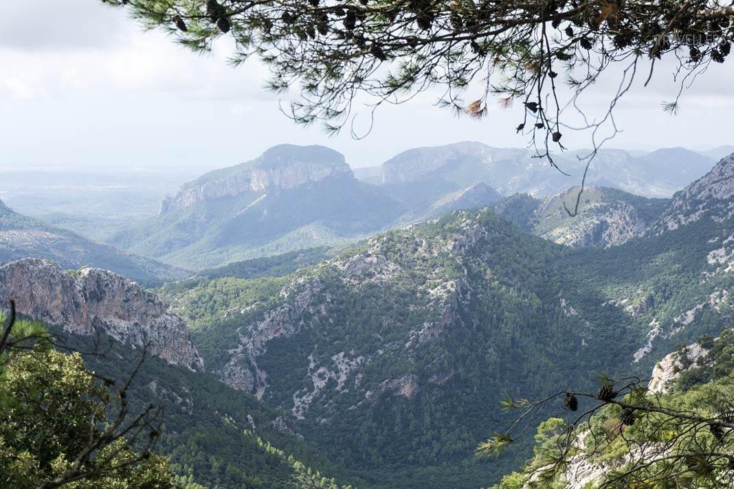 Vue sur les deux sommets de Puig de s'Alcadena et Puig d'Alaró à Majorque