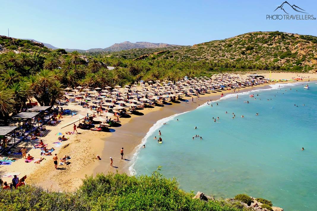 Vue d'en haut sur la plage de palmiers de Vai en Crète
