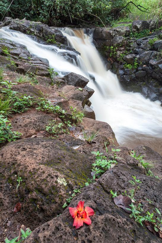 A cachoeira Ho'opi'i Falls em Kauai