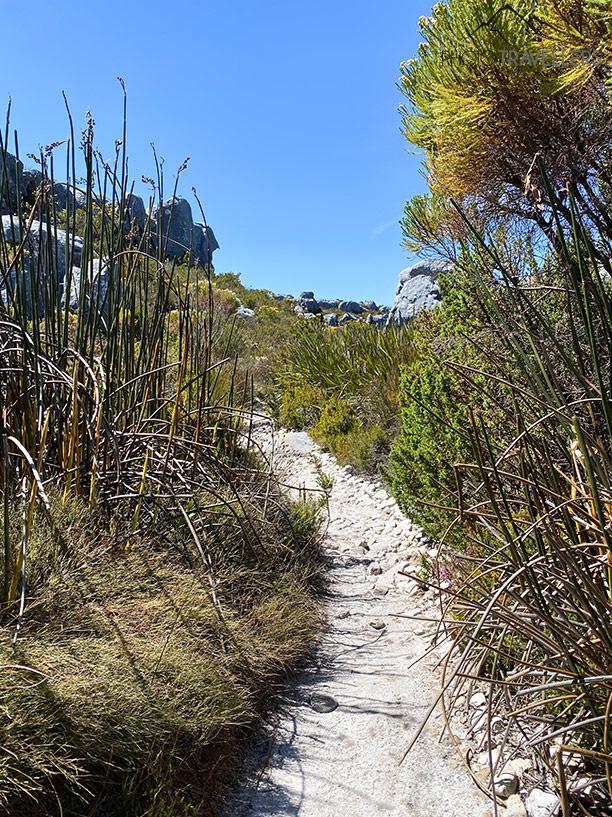 Wilderness tem trilhas de caminhada deslumbrantes