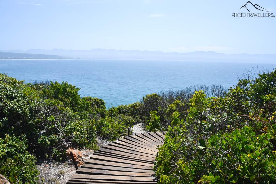 Uma trilha na Garden Route na África do Sul