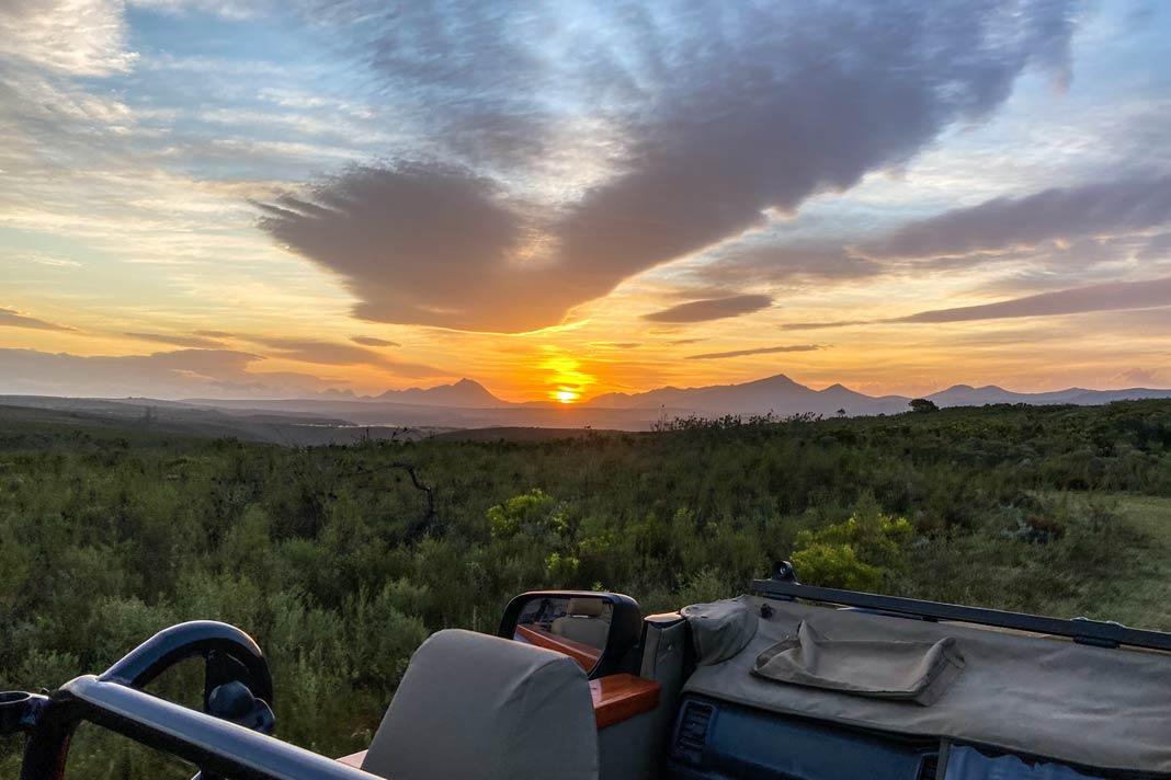 ¿Quieres reservar un tour de atardecer para tu safari en Sudáfrica?