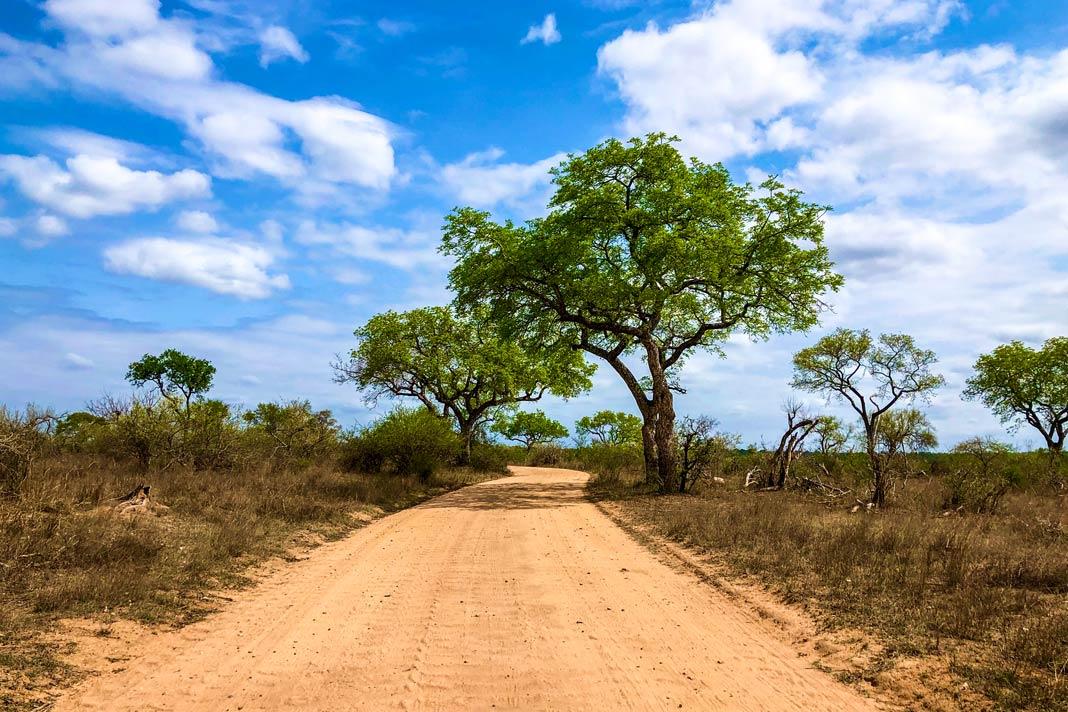 Carretera en el Parque Nacional Kruger
