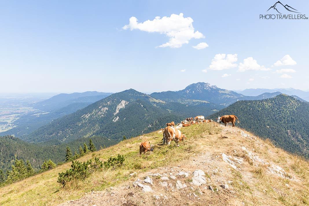 Vacaciones en la cima del Jochberg