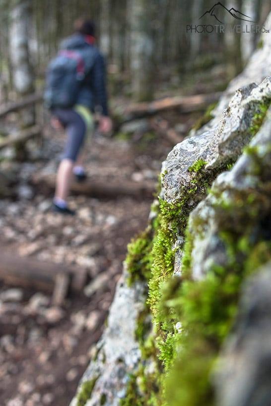 La randonnée sur l'Enos traverse un paysage varié