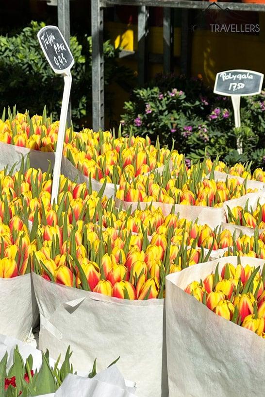 Des tulipes jaunes au marché aux fleurs d'Utrecht