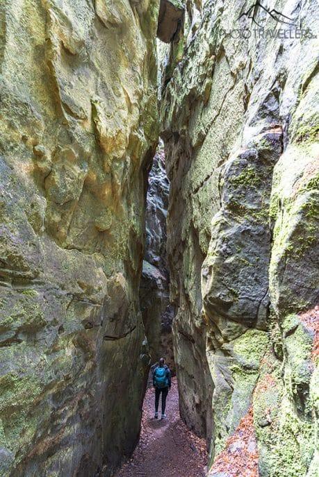 Biggi entre altas paredes de rocha na Teufelsschlucht
