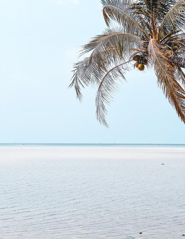 Plage de rêve en Thaïlande avec palmier