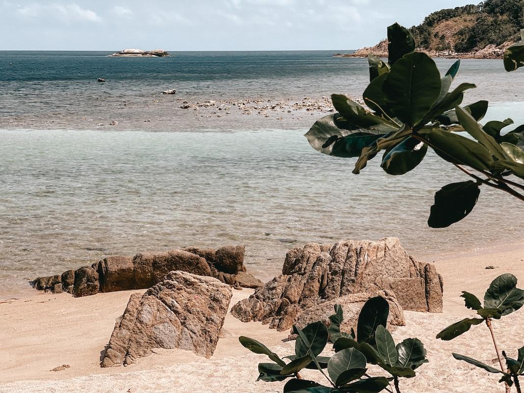 Vue à marée basse sur une plage